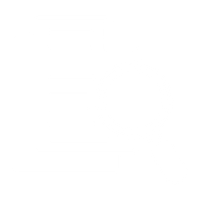 Internal Investigations